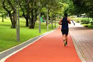 Walking Track at YOO Pristine